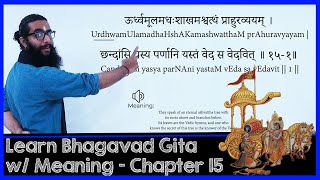 Learn BhagavadGita with Narration of Meanings  Chapter 15 [upl. by Annatsirhc]