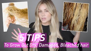 5 Tips to Grow Out Dry Damaged amp Bleached Hair [upl. by Trout]