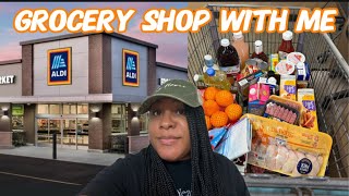 GROCERY SHOPPING at ALDI using EBT spent 125 car KARAOKE  mini haul 34ShadesOfMeek [upl. by Bardo]