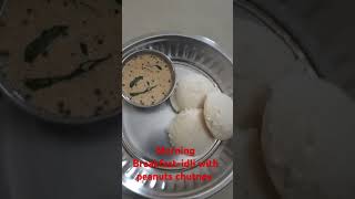 Morning BreakfastIdli with peanuts chutney breakfast healthyfoods food [upl. by Treva]