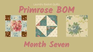 How To Make Simple Quilting Blocks into STUNNING Medallion Quilt Primrose Month 7  Blocks 9 1011 [upl. by Cointon]