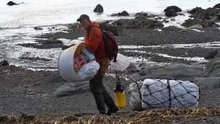 Tsunami Debris Hits California [upl. by Ohl]