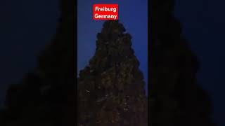 Freiburg germany adventure short [upl. by Adiazteb628]