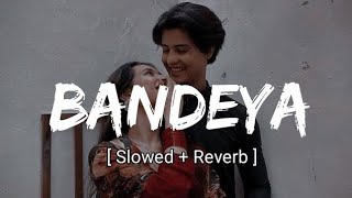 Bandeya  Arijit Singh Song Slowed amp Reverb Dil Juunglee Song  Lofi Song [upl. by Rica695]