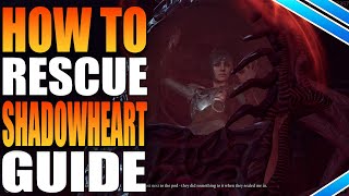 How To Free Shadowheart Rescue Illithids Captive In Baldurs Gate 3 [upl. by Naujd]