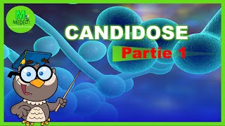 CANDIDOSE  partie 1 cours de parasitologie  mycologie médicale [upl. by Dorthea903]