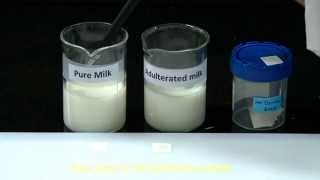 Strip based test for detection of maltodextrin in milk [upl. by Yelyah]