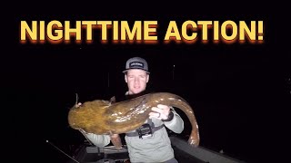 Using Cut Bluegill for Flathead Catfish Schuylkill River PA [upl. by Maible]