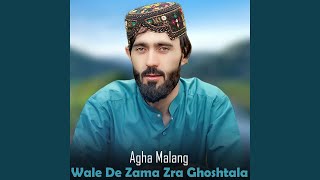 Wale De Zama Zra Ghoshtala [upl. by Cheng]