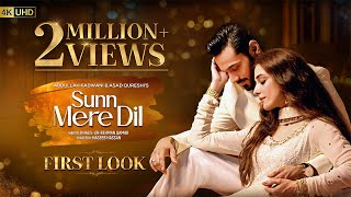 Sunn Mere Dil  First Look  Ft Wahaj Ali Maya Ali  Har Pal Geo [upl. by Anuahsal]