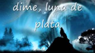 lyrics hijo de la luna [upl. by Kutzenco960]