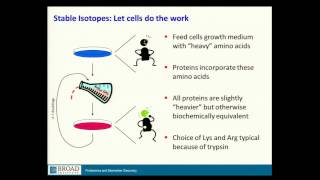 BroadE Quantitative methods in proteomics [upl. by Joshuah]