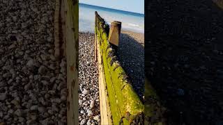 quotlongshore driftquot barrier example near Cromer pier Norfolk UK wild nature countryside outdoors [upl. by Eninnej]