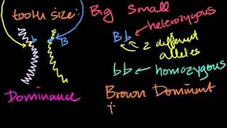 Introduction to Heredity in Bangla [upl. by Rellek]