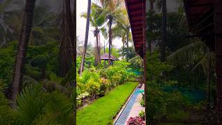 Best Home Stay Near Kashid Beach 😍 Forest Casa By Rashmiraj vlogtravel [upl. by Torrie]