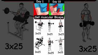 BICEPS WORKOUT TRAINING TIPS TO MAXIMIZE GROWTH shorts [upl. by Scheer871]