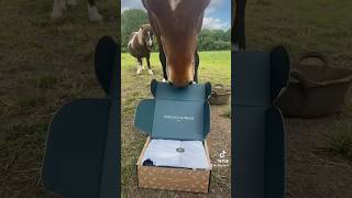 Opening our“Forelock and Fringe” June subscription box Use code SILLYPRUNE10 For discount horse [upl. by Adnih]