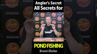 POND FISHING  Small Bait【Anglers Secret 04 05 06 07 08 09 10】 [upl. by Anavlis]