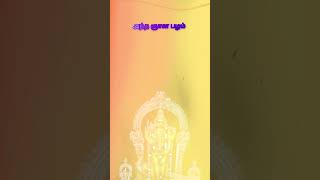 Maruthamalai mela Sathiyama Song WhatsApp status Murugaa god love [upl. by Juback663]