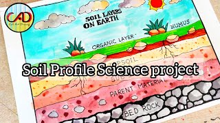 How to draw Layers of Soil diagram drawing  Soil profile poster chart  Soil profile Drawing [upl. by Mensch]