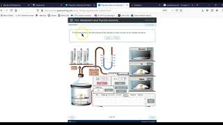 Endocrine Physio Ex explainer [upl. by Glaab]