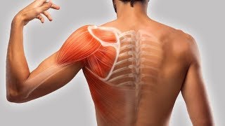 how to fix shoulder tendonitis [upl. by Bittner]