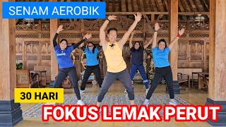 AEROBIK FOKUS LEMAK PERUT  30 HARI PENURUNAN BERAT BADAN [upl. by Zizaludba]