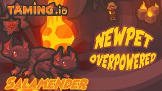 Tamingio New Salamander Is Good Pet For Highscore [upl. by Worra126]