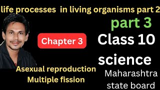 asexual reproduction multiple fission class 10 science chapter 3 life processes in living organis [upl. by Aramo]