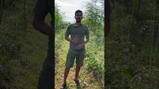 How to control early blight tomato plant disease organicfarming inspiredfromorganicmandya [upl. by Leuqer178]