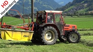 Gras harken  Same Argon 70  Fella  Raking the Grass  Stockach  Zillertal  Tirol  Austria [upl. by Elletnwahs]