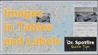 Using Images in Spotfire Chart Labels and Tables [upl. by Ashjian73]