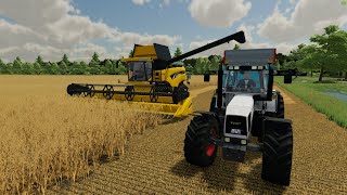 NEW FARM HOLLANDSCHEVELD NO MONEY CHALLENGE HARVESTING OATS FS22 [upl. by Lanny282]