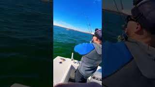 Catching Striped Bass With Spinning Rod [upl. by Paderna442]