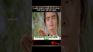 Review Film Luyện thành tuyệt kỹ nhờ quan sát bọ ngựa [upl. by Eelyrehc]