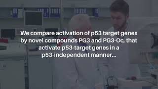 ISR Activation amp Apoptosis via HRI Kinase by PG3 and Other p53 Cancer Therapies  Oncotarget [upl. by Ecylla710]