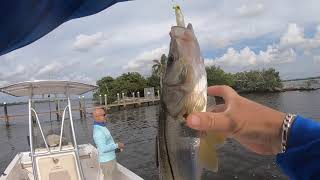 Caloosahatchee River Fishing by Boat [upl. by Segroeg]