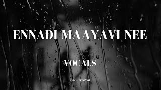 Ennadi maayavi nee vocals  vada chennai  without music vocalsonly VocalsOnly01 [upl. by Bilow337]