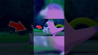 Why Would Shellder Bite Galarian Slowbro on the Hand pokemon [upl. by Lesli]