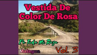 Vestida De Color De Rosa  Conjunto Malagua [upl. by Werby112]