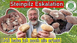 Steinpilze Eskalation  DAS habe ich noch nie erlebt  Die Sommersteinis sind wieder da [upl. by Onidranreb]