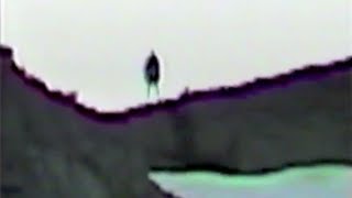 Marble Mountain Bigfoot quotOriginal Videoquot [upl. by Mariska]