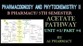 Acetate pathway unit 1 part4 pharmacognosy 5th sem [upl. by Dudley]