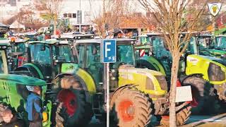 Sternfahrt nach Sinsheim Rund 800 Traktoren machen sich auf nach Sinsheim 🚜 [upl. by Alleuqahs]