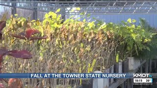 Towner State Nursery begins harvest postharvest practices [upl. by Nairam11]