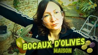 27  COMMENT FAIRE DES OLIVES EN SAUMURE MAISON  YTB27mp4 [upl. by Willing194]