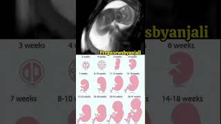 Baby movement in moms womb ♥️🥰shortvideo movement pregnancy baby [upl. by Jocelin]