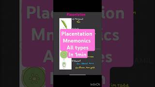 Biology mnemonics placentation neet25 neet2025 neetbiology tricks neet neetpreparation [upl. by Lanette]