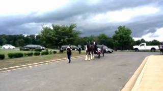 Full Military Honors with Horse Drawn Caisson [upl. by Lourdes]