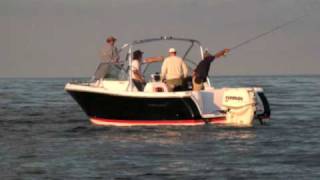 PROJECT BOAT 2008 ProLine 23 DC [upl. by Nidak]